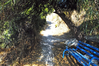 Galazio Beach. The path
