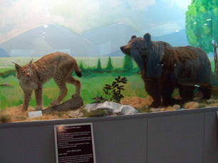 Natural History Museum of the Aegean