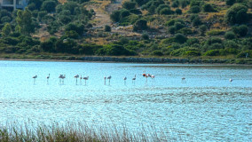Wetland in Psili Ammos