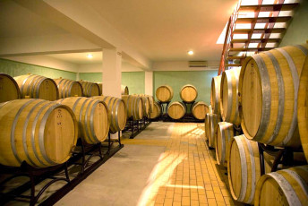 wine-museum-samos6